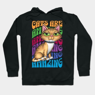 Cute Orange Tabby Cats art Amazing Hoodie